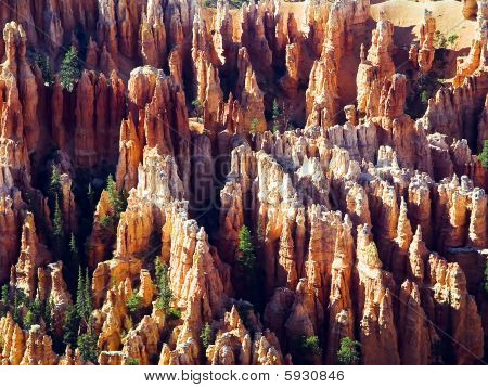 Bryce Hoodoos