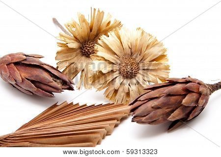 Straw flower with wooden fields