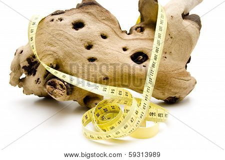 Dimension tape with wooden root