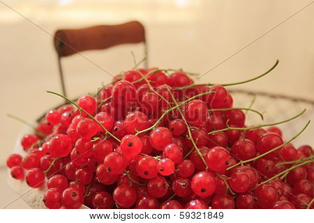 Red Currants