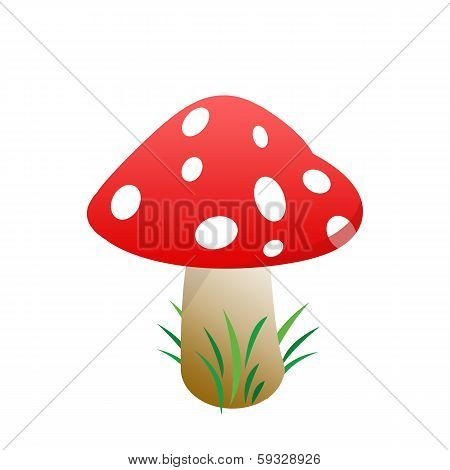 Mushroom