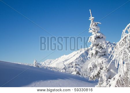 View Of Dolomites Snowy