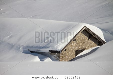 Winter Landscape