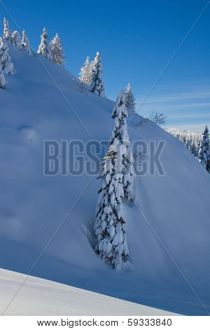 winter landscape