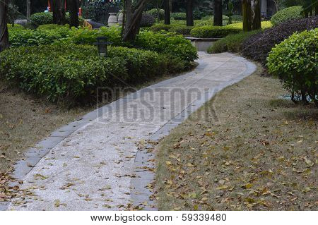 Lane