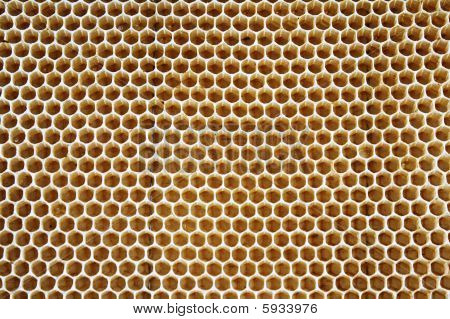 Honning texture