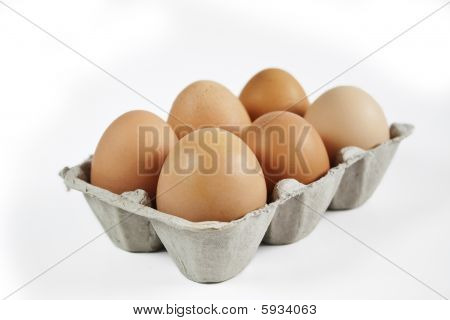 Æg