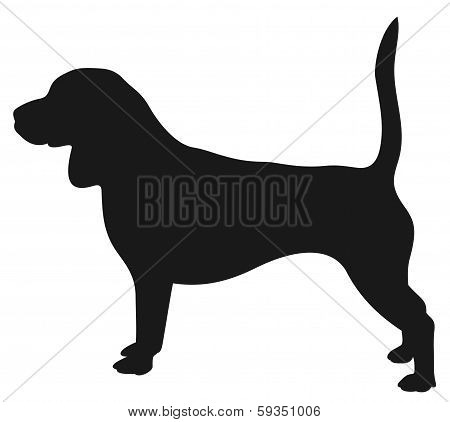 Silhouette Dog