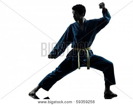 one asian young man exercising martial arts karate vietvodao in silhouette studio isolated on white background