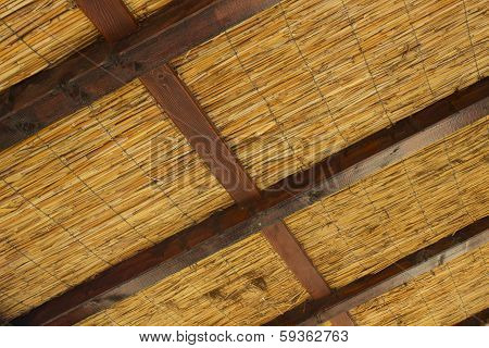 Reedy roof with wooden log