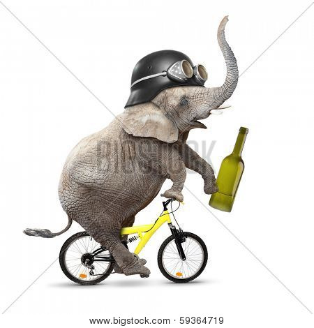 Drunken driver riding a bike. Traffic safety and insurance concept. 