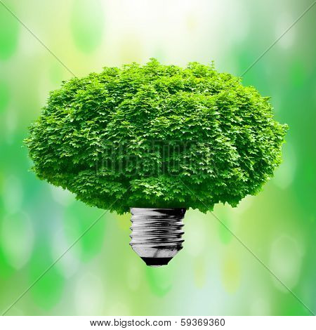light bulb, lamp tree on a green background