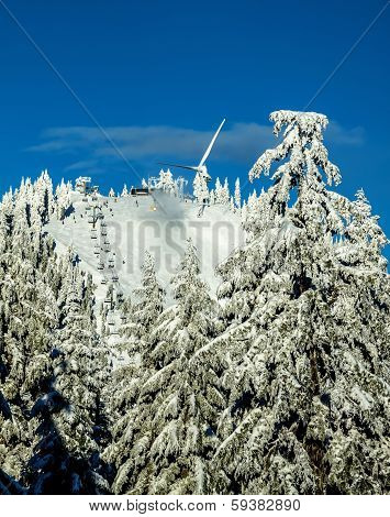 Grouse Mountain