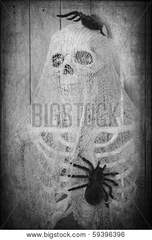 Creepy Halloween Skeleton