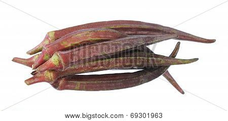 Purple Okra