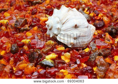 amber and seashell
