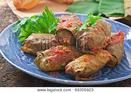 Dolma, stuffed grape leaves, turkish and greek cuisine