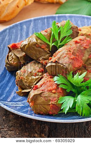 Dolma, stuffed grape leaves, turkish and greek cuisine