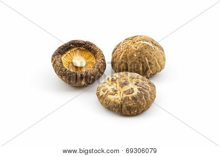 Dried Shiitake Mushroom.