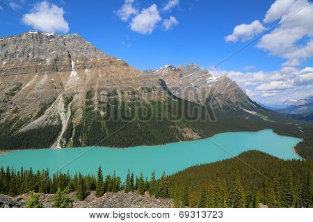Aerial view of Peyto Lake in Banff National Park, Alberta, Canada