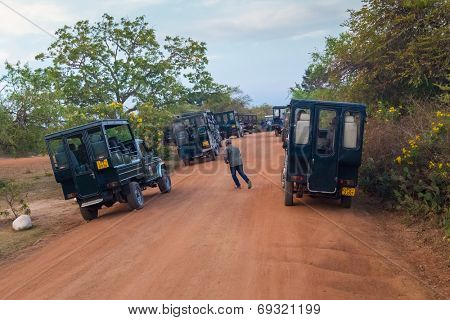YALA NATIONAL PARK, SRI LANKA - MARCH 4, 2014: Safari jeep tour in the Yala park. Yala is the second largest national park in Sri Lanka.
