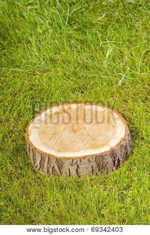 tree stump on the green grass