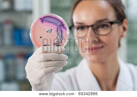 Woman Experimenting With Microbacteria
