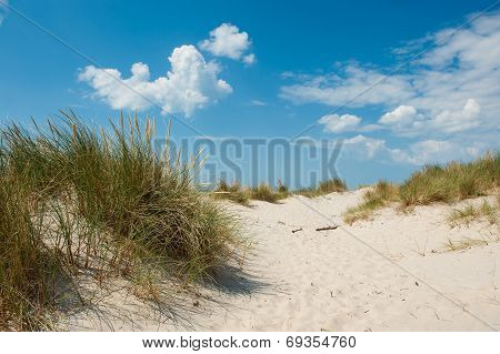 Danish Coast