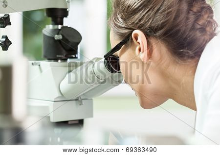 Woman Working With Microscope