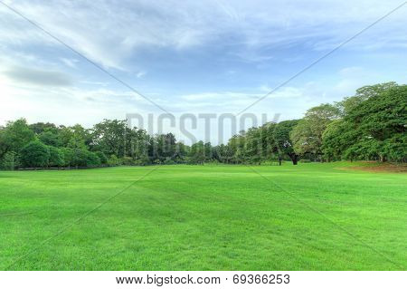 Public Park