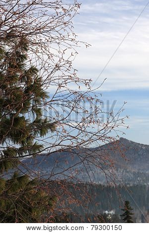 Mountain landscape.