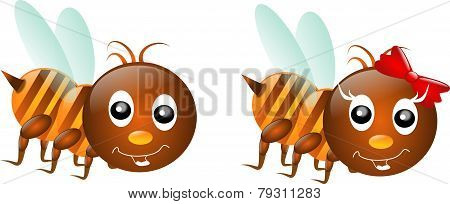 Two Bees