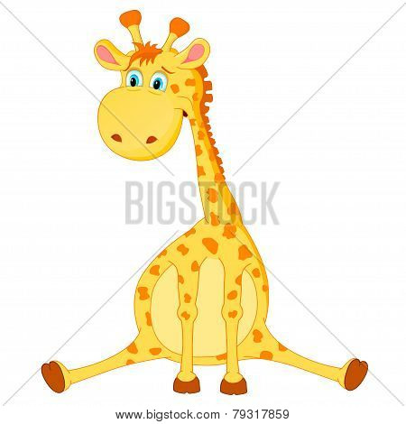 Giraffe vector