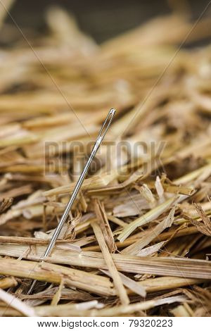 Needle in Haystack