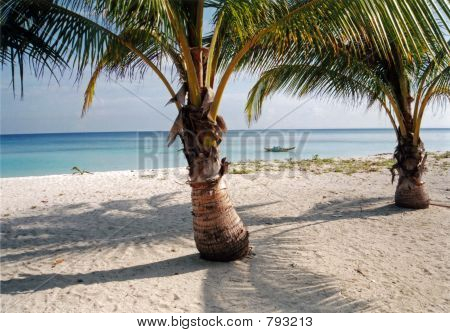 Paradise island