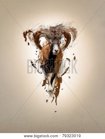 Mouflon, abstract animal concept