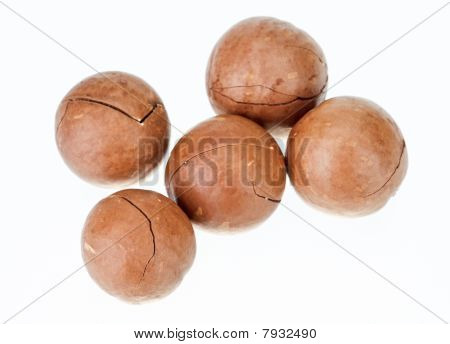 ungeschälte Macadamia-Nüsse, isoliert auf weiss