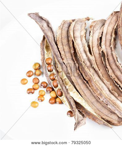Dried Winged Bean Seed And Bean Pod On White Dish