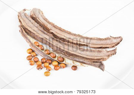 Dried Winged Bean Seed And Bean Pod On White Dish