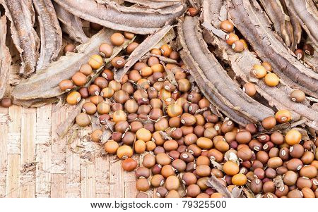 Dried Winged Bean Seed And Bean Pod On Bamboo Basket