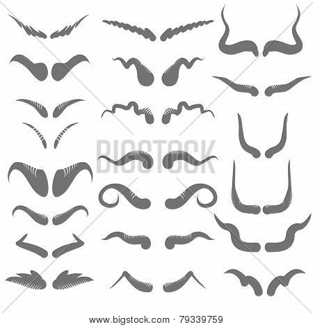Set Of Horns