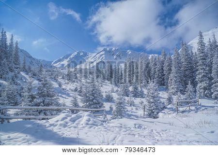 Idyllic Winter