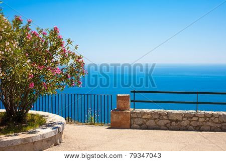 Sea With Oleander