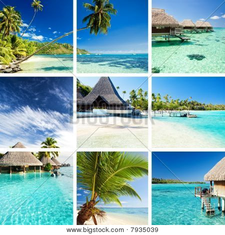Koláž tropických obrazů z Tahiti a Moorea