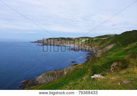 Devon Coast