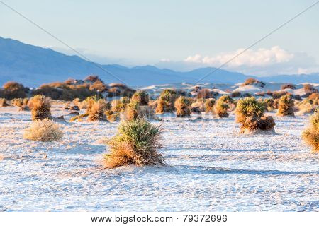Death Valley