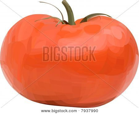 Vector tomaatti.