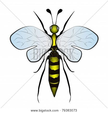 Yellow Bumble Bee Cartoon Insect On White