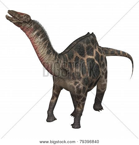 Dinosaur Dicraeosaurus