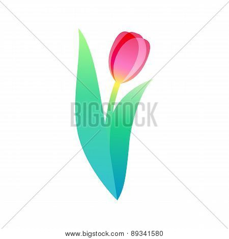 Beautiful simple tulip flower illustration logo design.